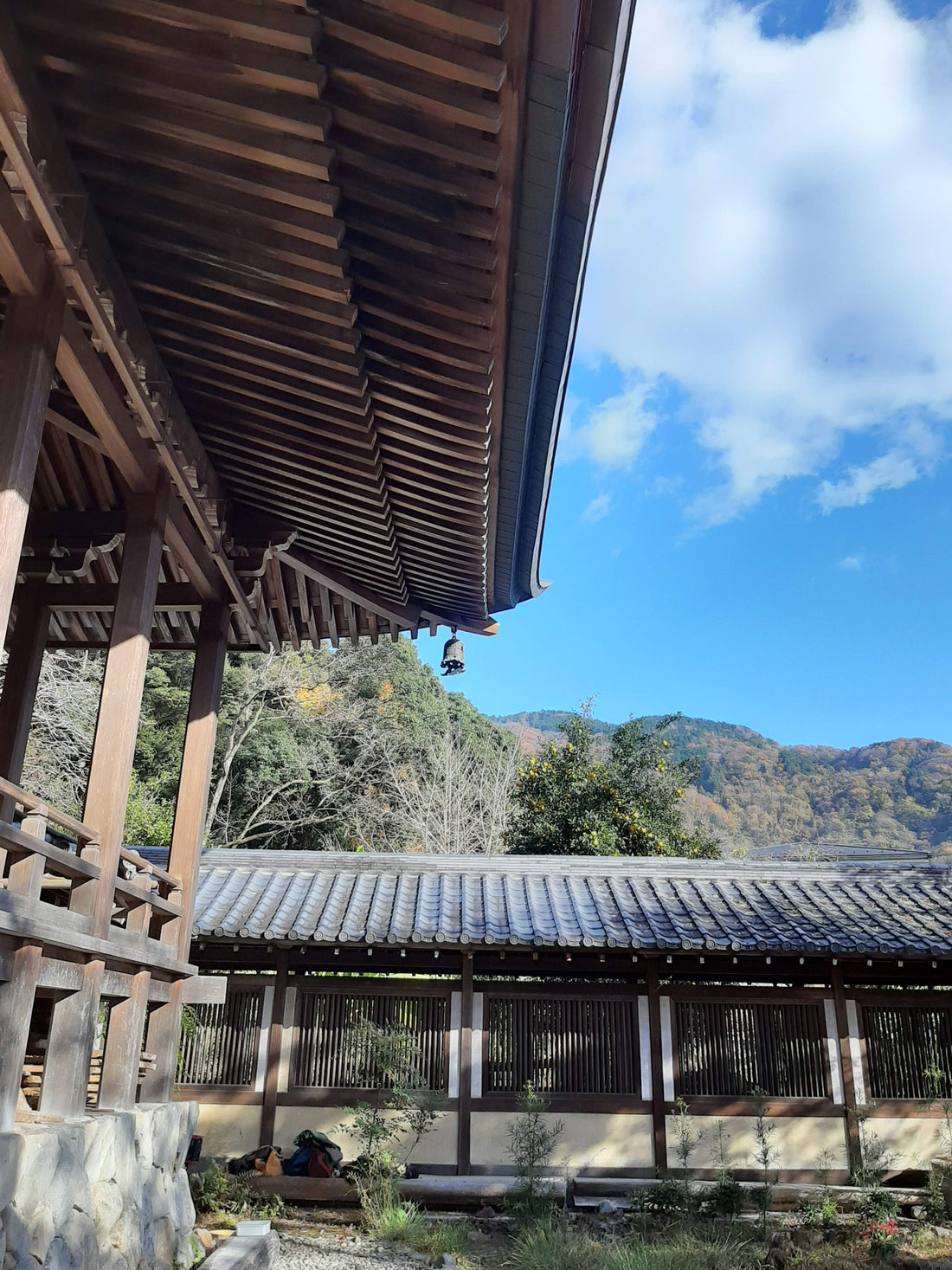 栖賢寺宗貫住職 坐禅と中国茶の会