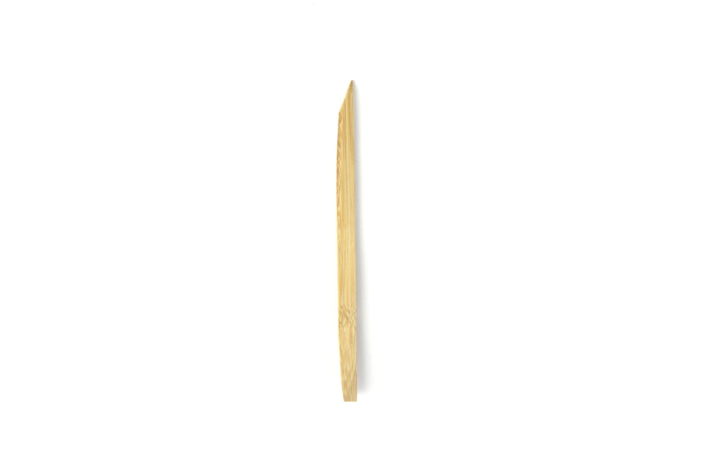 本煤竹楊枝 節付き