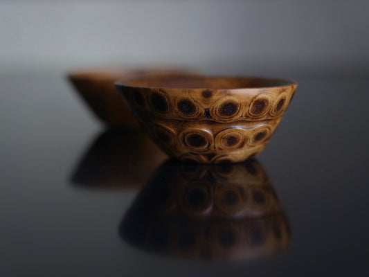 根竹 盃