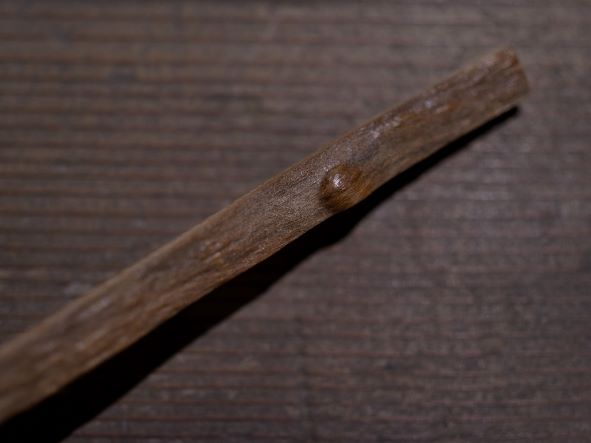 妙喜庵桜の茶杓 銘「心の友」