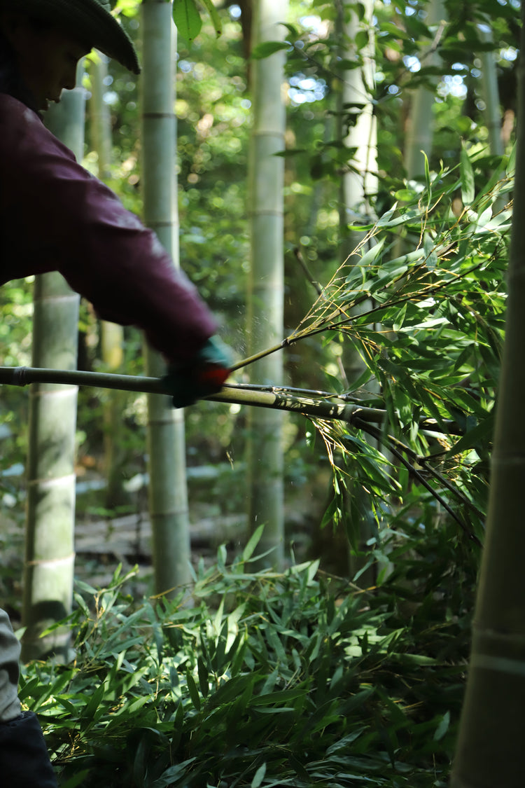 正月・初釜の青竹製品