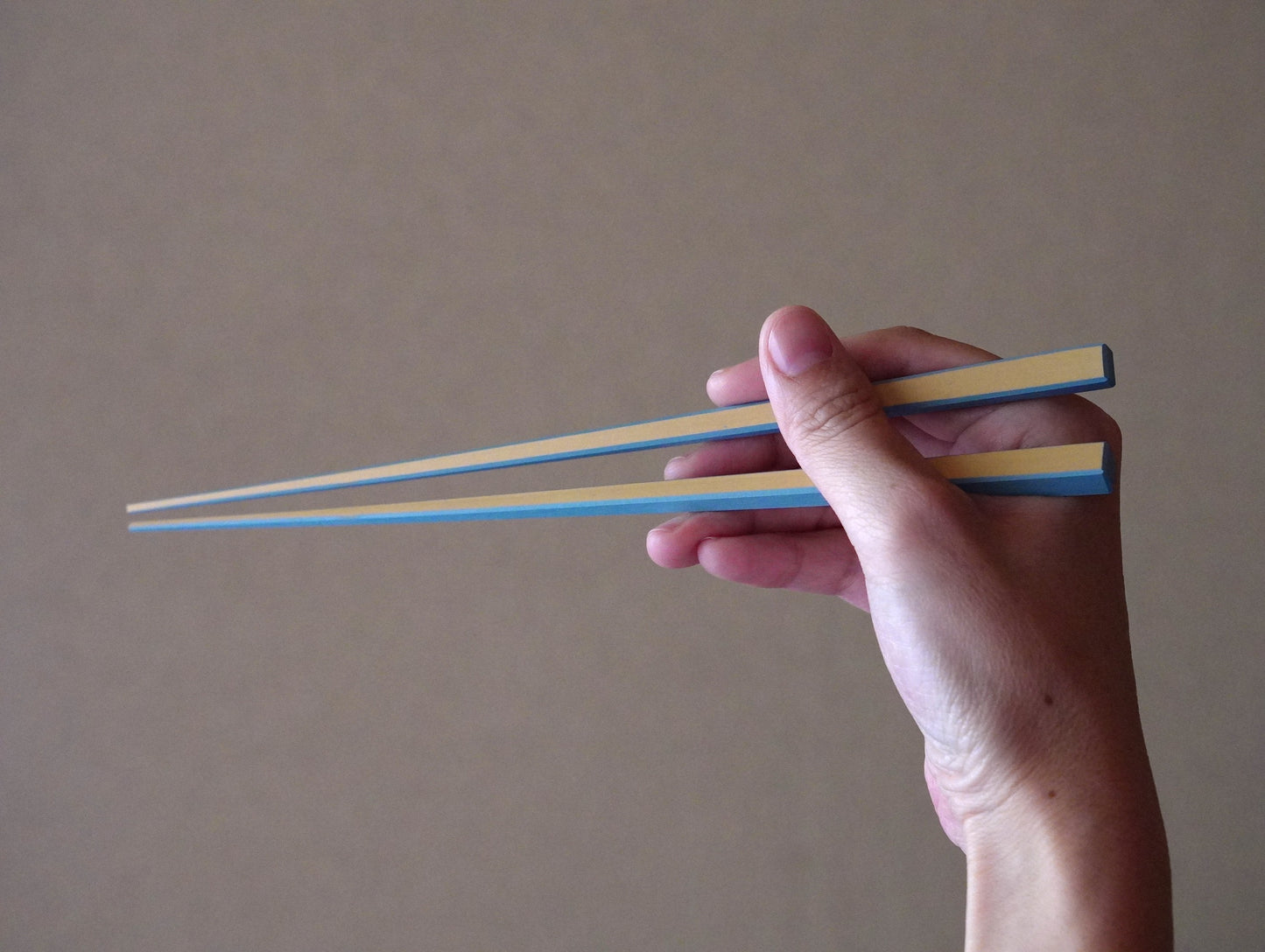 【廃盤・在庫限り】パステル箸 22.5cm