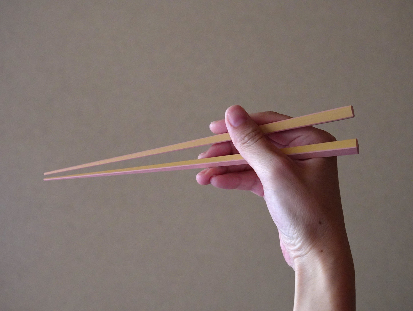 【廃盤・在庫限り】パステル箸 22.5cm