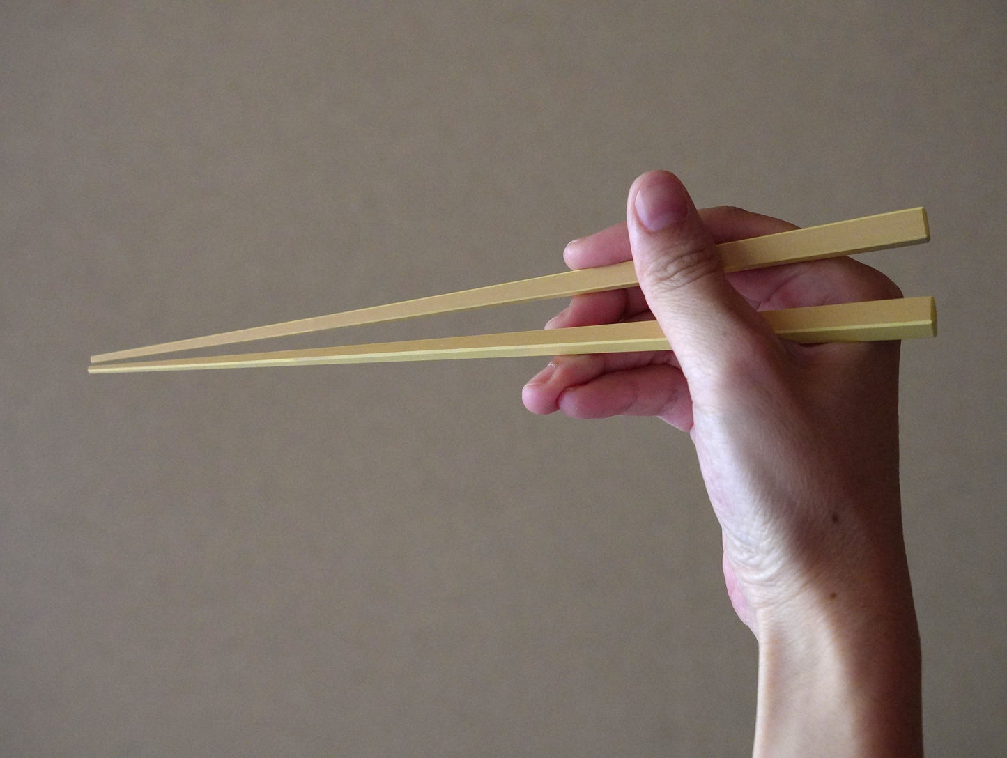 【廃盤・在庫限り】パステル箸 22.5cm